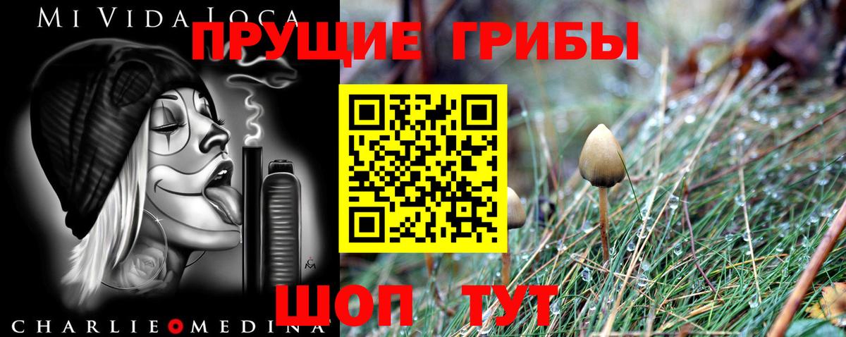 Псилоцибиновые грибы Psilocybe Можга