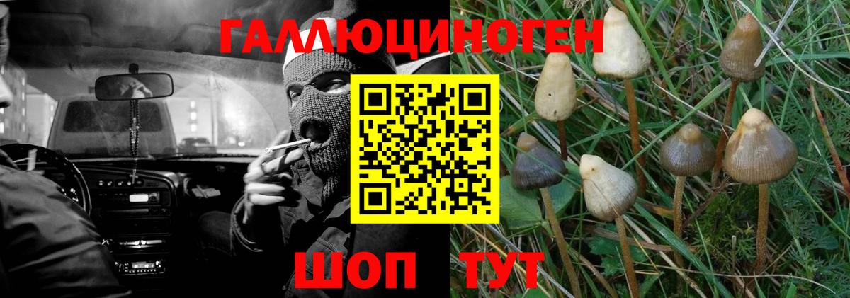 купить наркотик  Вход с VPN  Можга  Псилоцибиновые грибы Psilocybe  Псилоцибиновые грибы MAGIC MUSHROOMS 